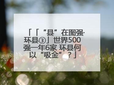 「“县”在图强·环县③」世界500强一年6家 环县何以“吸金”？