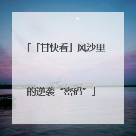「甘快看」风沙里的逆袭“密码”