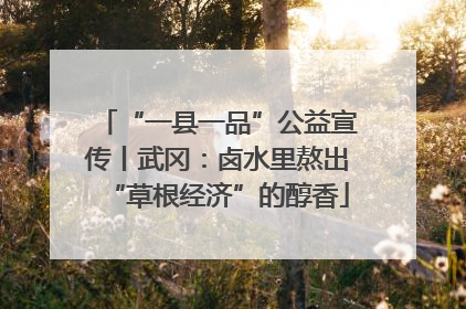 “一县一品”公益宣传丨武冈：卤水里熬出“草根经济”的醇香