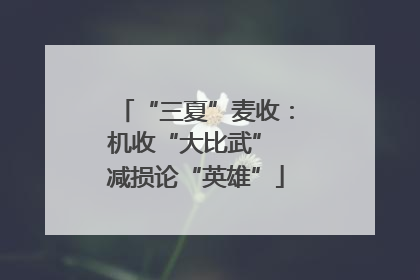 “三夏”麦收：机收“大比武” 减损论“英雄”
