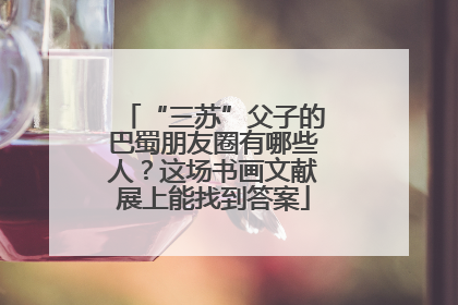 “三苏”父子的巴蜀朋友圈有哪些人？这场书画文献展上能找到答案