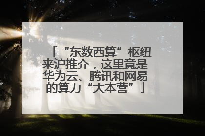 “东数西算”枢纽来沪推介，这里竟是华为云、腾讯和网易的算力“大本营”