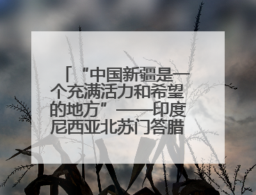 “中国新疆是一个充满活力和希望的地方”——印度尼西亚北苏门答腊省伊斯兰教代表团参访新疆