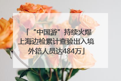 “中国游”持续火爆 上海边检累计查验出入境外籍人员达484万