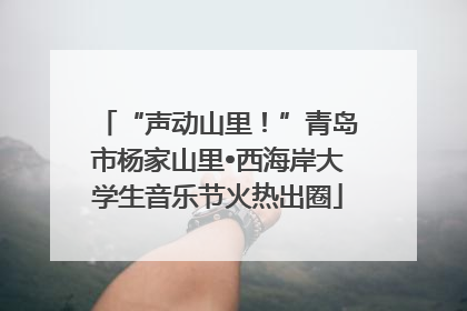 “声动山里！”青岛市杨家山里•西海岸大学生音乐节火热出圈