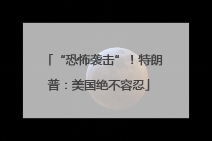 “恐怖袭击”！特朗普：美国绝不容忍