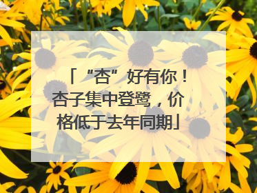 “杏”好有你！杏子集中登鹭，价格低于去年同期