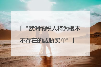 “欧洲纳税人将为根本不存在的威胁买单”
