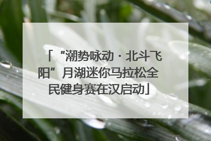“潮势咏动・北斗飞阳”月湖迷你马拉松全民健身赛在汉启动