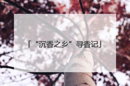 “沉香之乡”寻香记