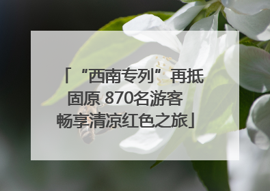 “西南专列”再抵固原 870名游客畅享清凉红色之旅