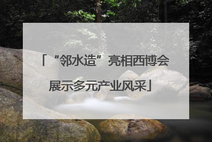 “邻水造”亮相西博会 展示多元产业风采