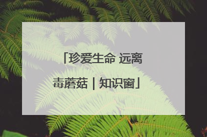 珍爱生命 远离毒蘑菇｜知识窗
