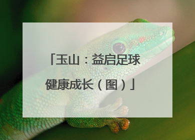 玉山：益启足球 健康成长（图）