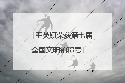 王英镇荣获第七届全国文明镇称号