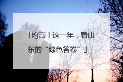 灼言丨这一年，看山东的“绿色答卷”