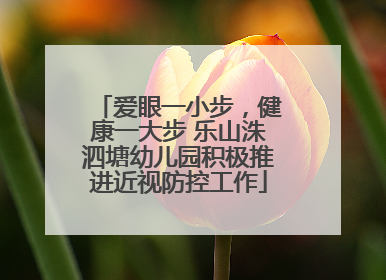爱眼一小步，健康一大步 乐山洙泗塘幼儿园积极推进近视防控工作