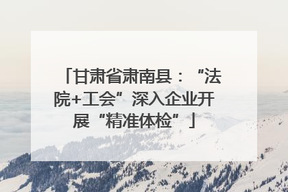 甘肃省肃南县：“法院+工会”深入企业开展“精准体检”