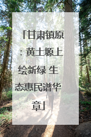 甘肃镇原：黄土塬上绘新绿 生态惠民谱华章
