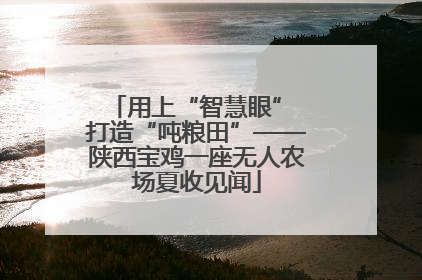 用上“智慧眼” 打造“吨粮田”——陕西宝鸡一座无人农场夏收见闻
