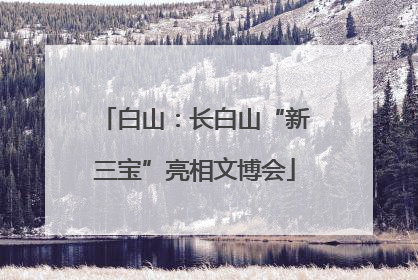 白山：长白山“新三宝”亮相文博会