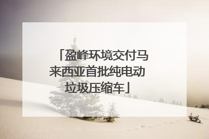 盈峰环境交付马来西亚首批纯电动垃圾压缩车