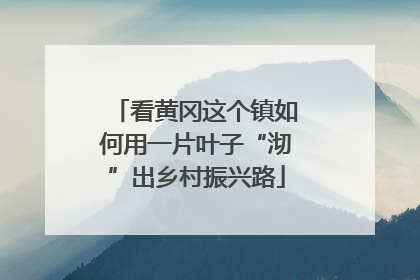 看黄冈这个镇如何用一片叶子“沏”出乡村振兴路