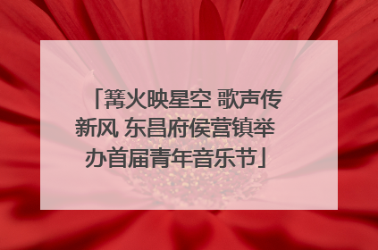 篝火映星空 歌声传新风 东昌府侯营镇举办首届青年音乐节