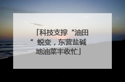 科技支撑“油田”蜕变，东营盐碱地油菜丰收忙