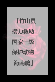 竹山县接力救助国家一级保护动物海南鳽
