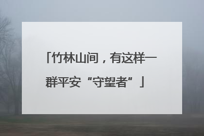 竹林山间，有这样一群平安“守望者”