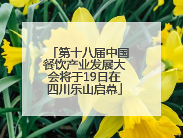 第十八届中国餐饮产业发展大会将于19日在四川乐山启幕