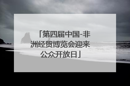第四届中国-非洲经贸博览会迎来公众开放日