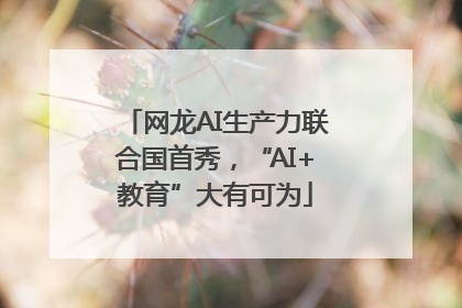 网龙AI生产力联合国首秀，“AI+教育”大有可为