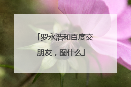 罗永浩和百度交朋友，图什么