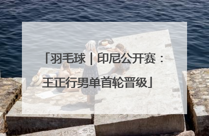 羽毛球｜印尼公开赛：王正行男单首轮晋级