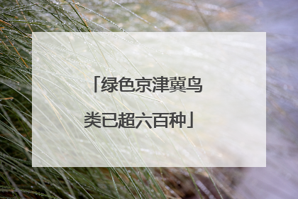 绿色京津冀鸟类已超六百种