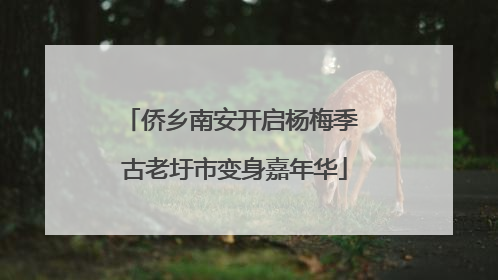 侨乡南安开启杨梅季 古老圩市变身嘉年华