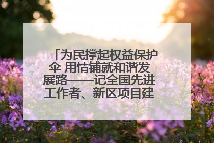 为民撑起权益保护伞 用情铺就和谐发展路——记全国先进工作者、新区项目建设中心干部卢小勇