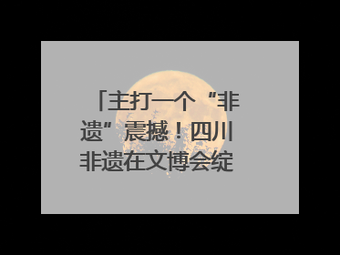 主打一个“非遗”震撼！四川非遗在文博会绽放时代光彩｜文博向“新”