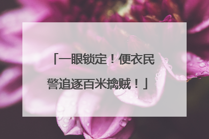 一眼锁定！便衣民警追逐百米擒贼！