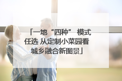 一地“四种” 模式任选 从定制小菜园看城乡融合新图景
