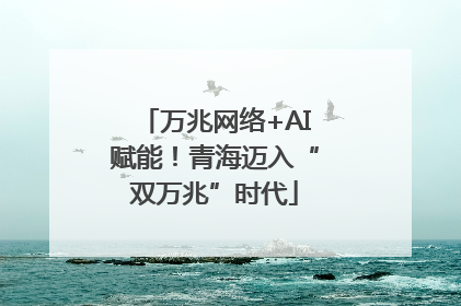 万兆网络+AI赋能！青海迈入“双万兆”时代