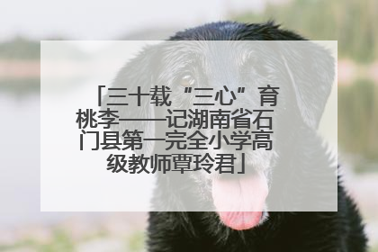 三十载“三心”育桃李——记湖南省石门县第一完全小学高级教师覃玲君