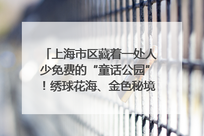上海市区藏着一处人少免费的“童话公园”！绣球花海、金色秘境……地铁直达→