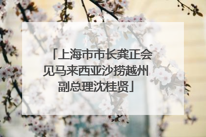 上海市市长龚正会见马来西亚沙捞越州副总理沈桂贤