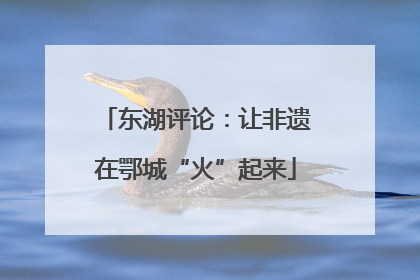 东湖评论：让非遗在鄂城“火”起来