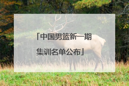 中国男篮新一期集训名单公布