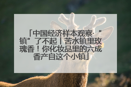 中国经济样本观察·“镇”了不起丨苦水镇里玫瑰香！你化妆品里的六成香产自这个小镇