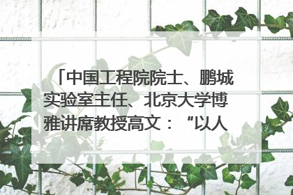 中国工程院院士、鹏城实验室主任、北京大学博雅讲席教授高文：“以人为本 智能向善” 推动文化与科技相生相促｜聚焦2025文化强国建设高峰论坛